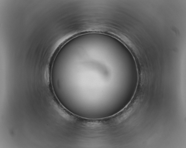 X0000112050838200908111348