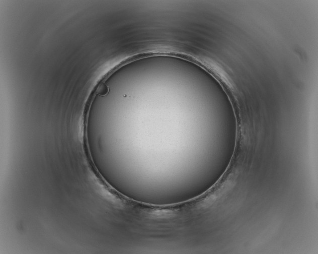 X0000112050839200908111348