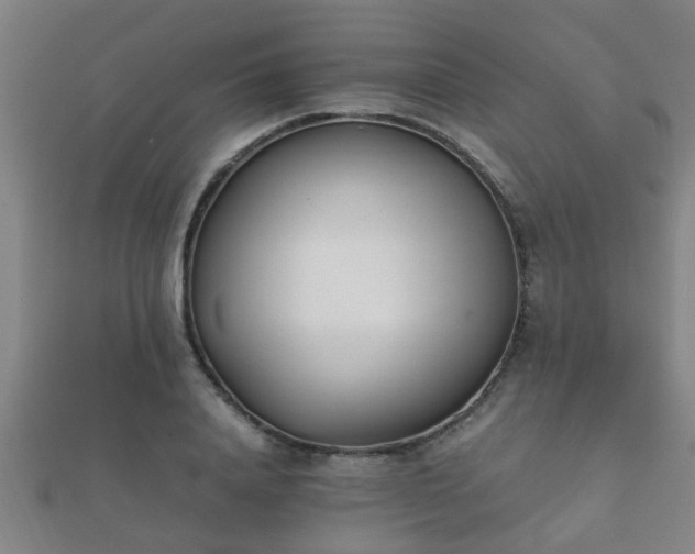 X0000112050840200908111348