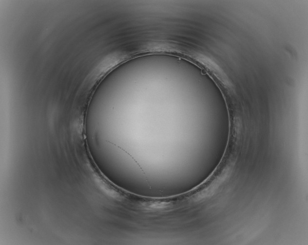 X0000112050841200908111348