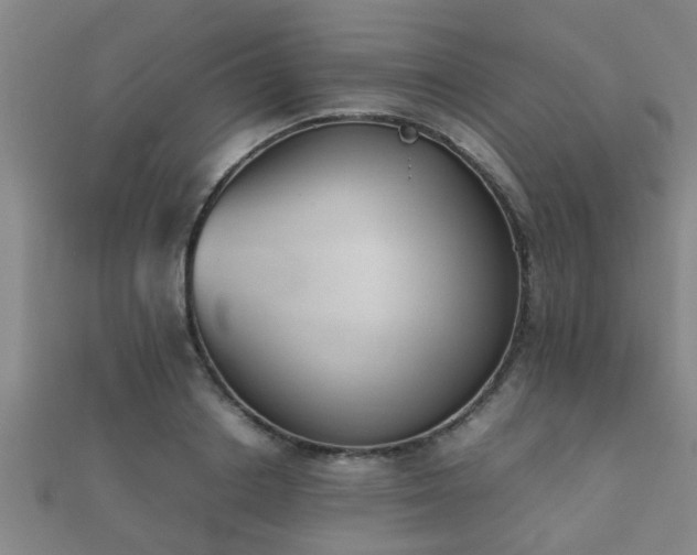 X0000112050842200908111348