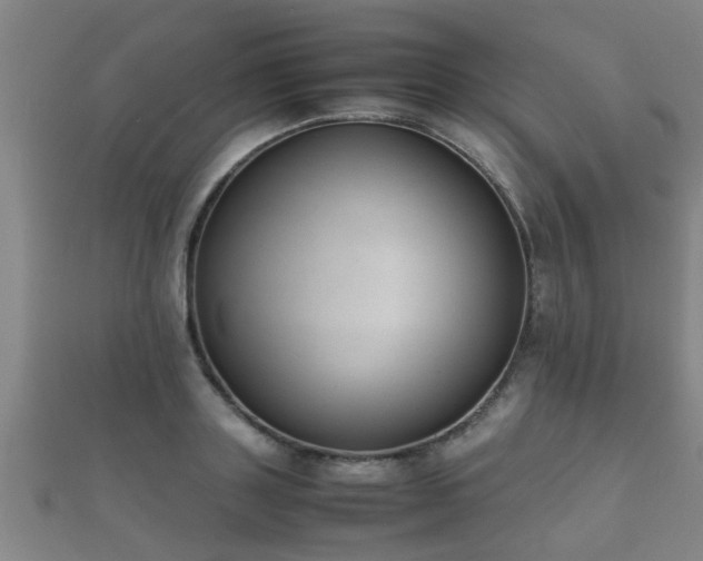 X0000112050843200908111348