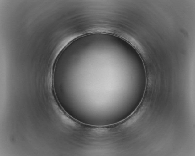 X0000112050844200908111348