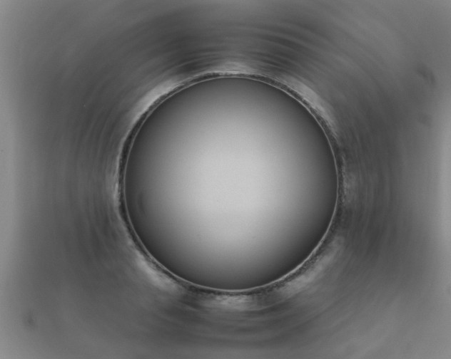 X0000112050845200908111348