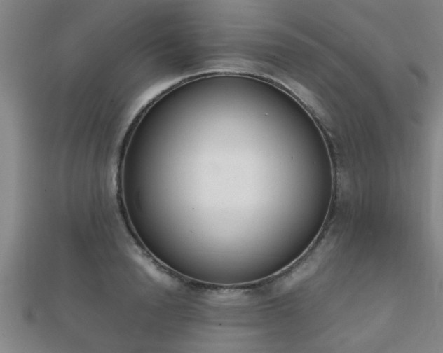 X0000112050846200908111348