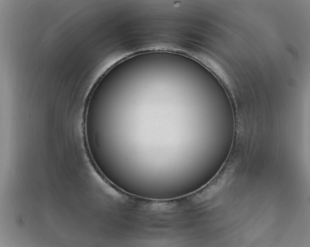 X0000112050847200908111348