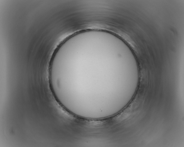 X0000112050848200908111348