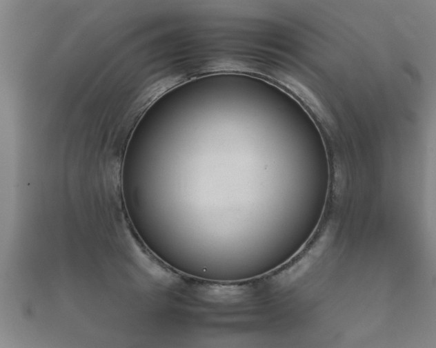 X0000112050849200908111348