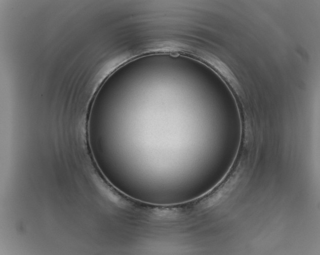 X0000112050850200908111348