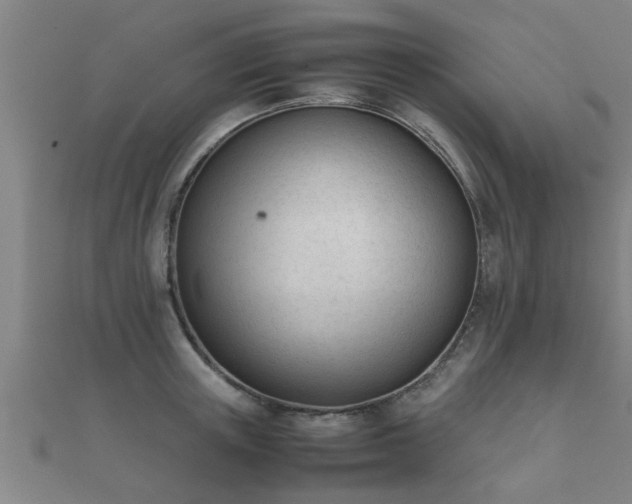 X0000112050851200908111348