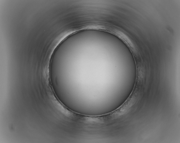 X0000112050852200908111348