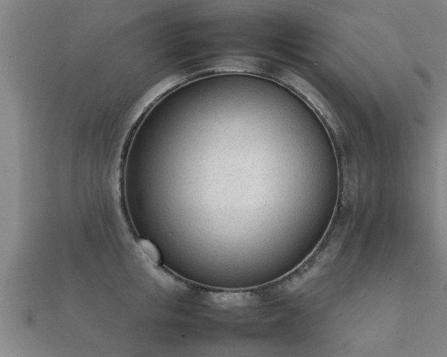 X0000112050853200908111348