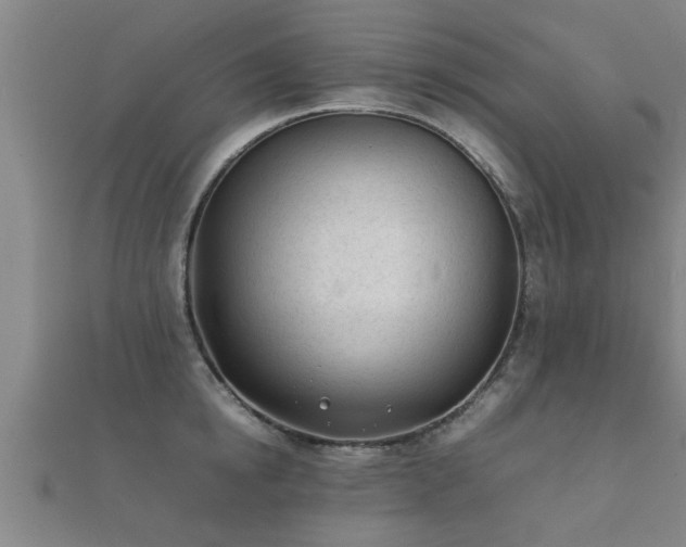 X0000112050854200908111348