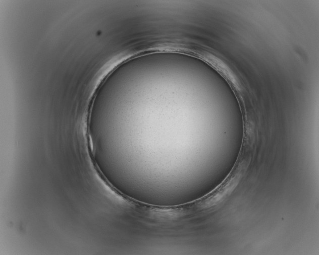 X0000112050855200908111348