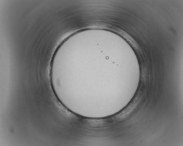 X0000112050856200908111348