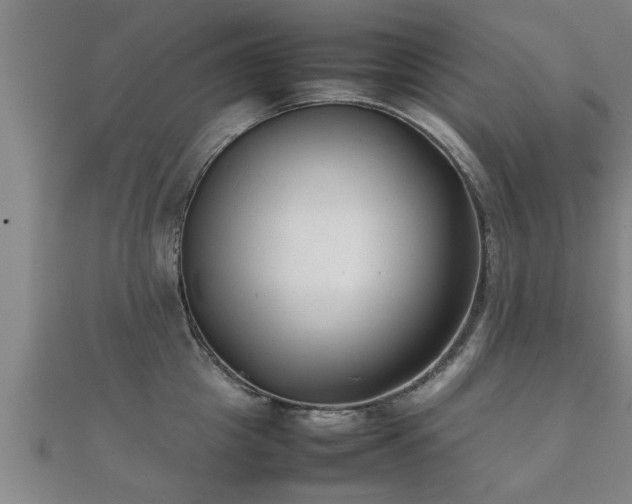 X0000112050857200908111348