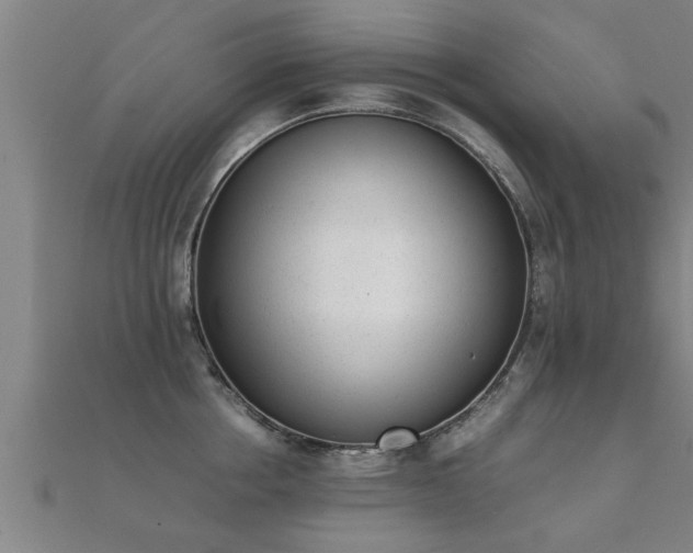 X0000112050858200908111348