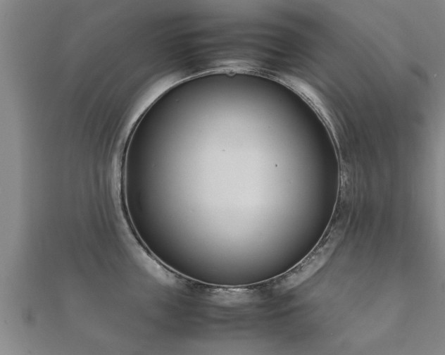 X0000112050859200908111348