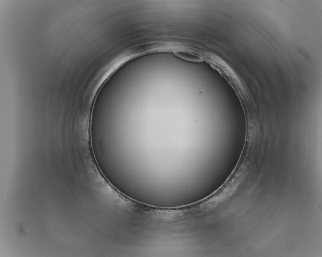 X0000112050860200908111348