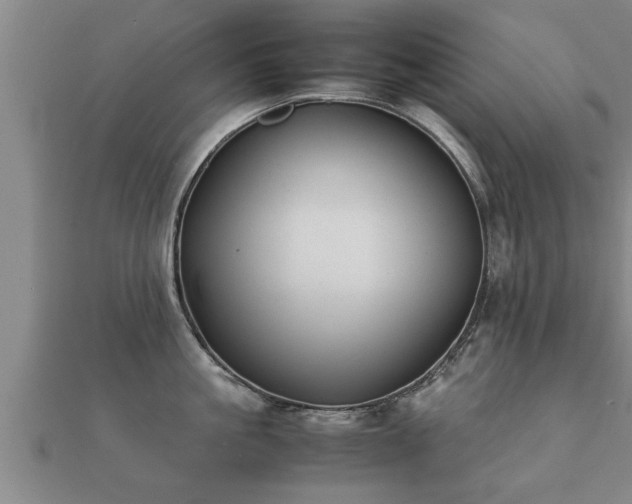 X0000112050861200908111348