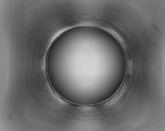 X0000112050862200908111348