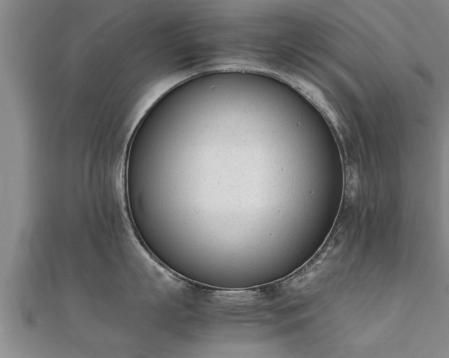 X0000112050863200908111348