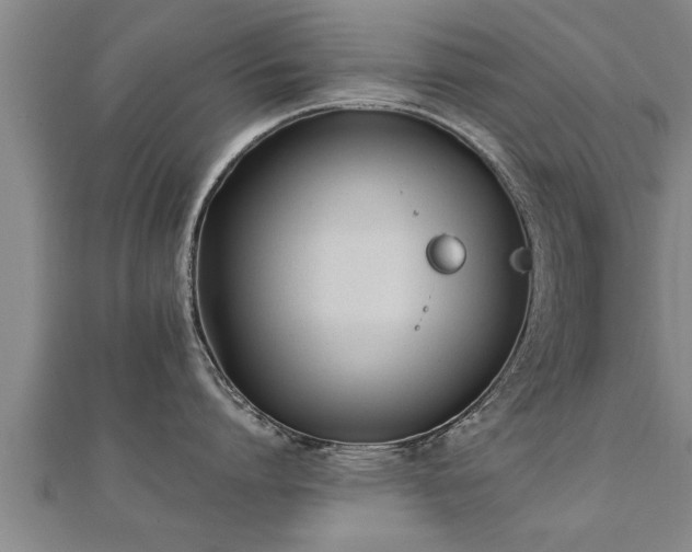 X0000112050864200908111348