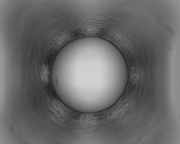 X0000112050866200908111347