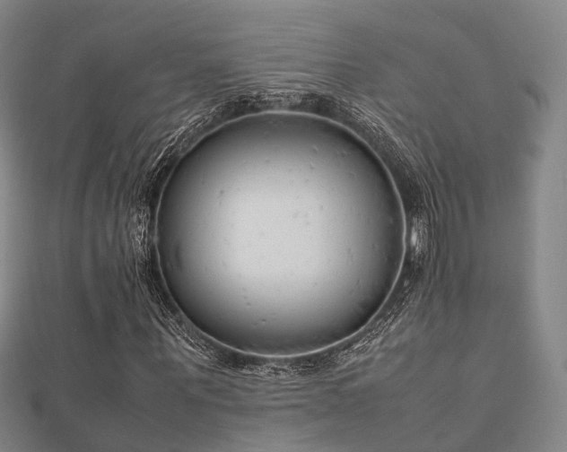 X0000112050867200908111347