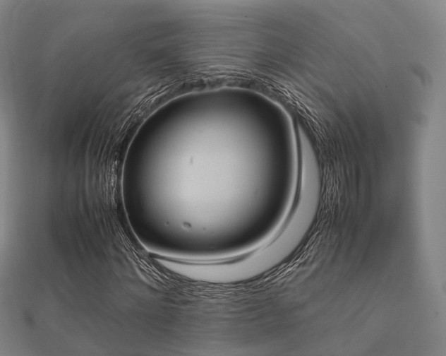 X0000112050868200908111347