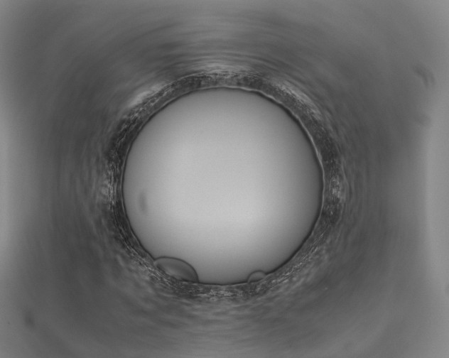 X0000112050869200908111347