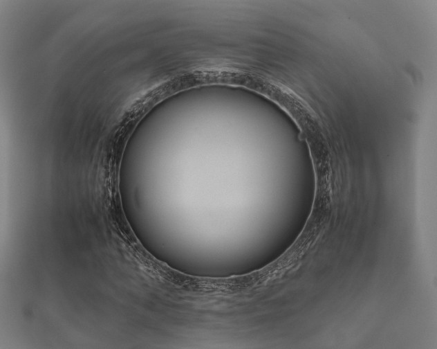 X0000112050870200908111347