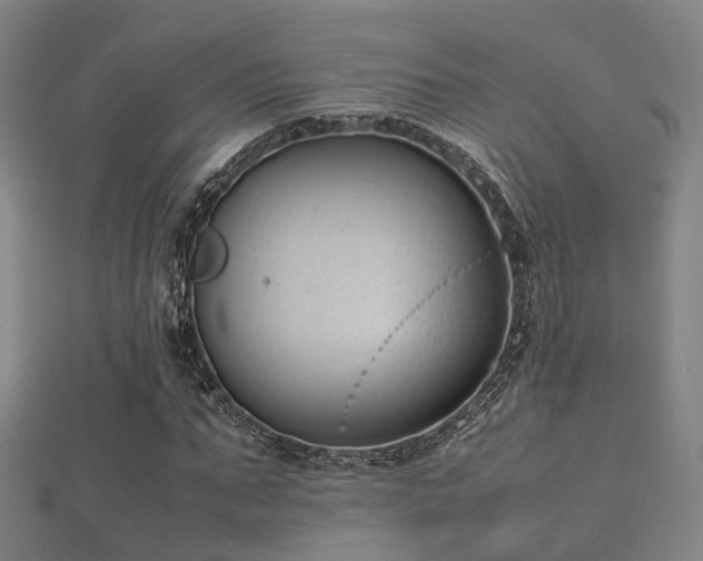 X0000112050871200908111347