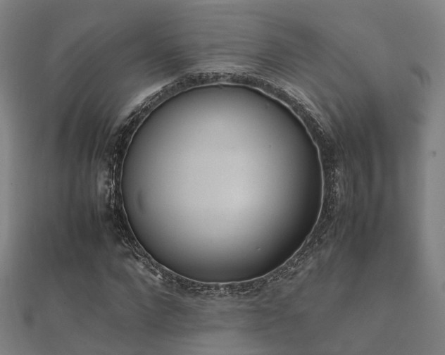 X0000112050872200908111347