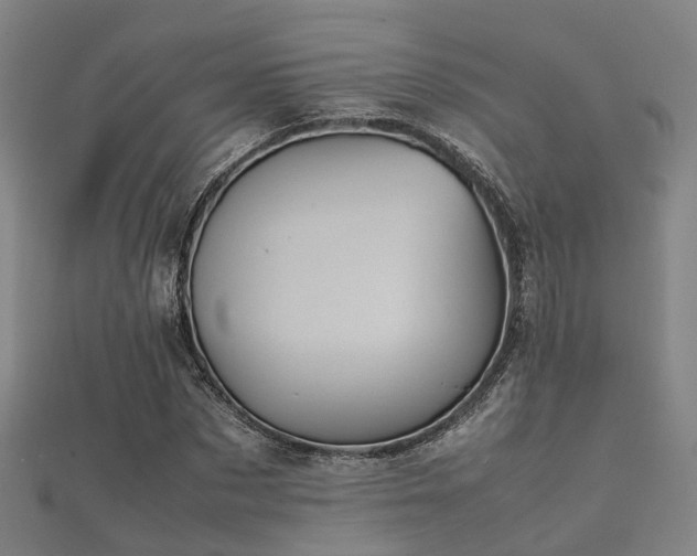 X0000112050873200908111347