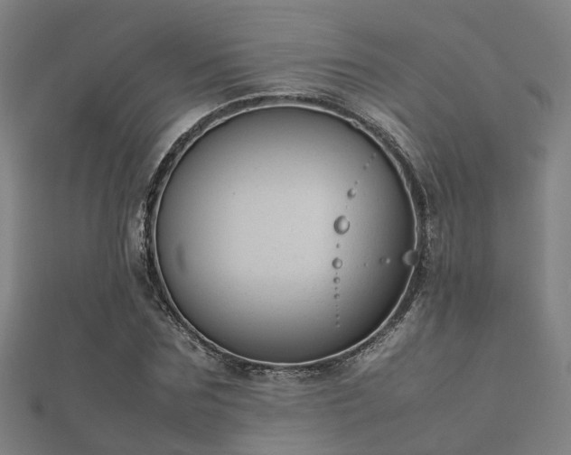 X0000112050875200908111347