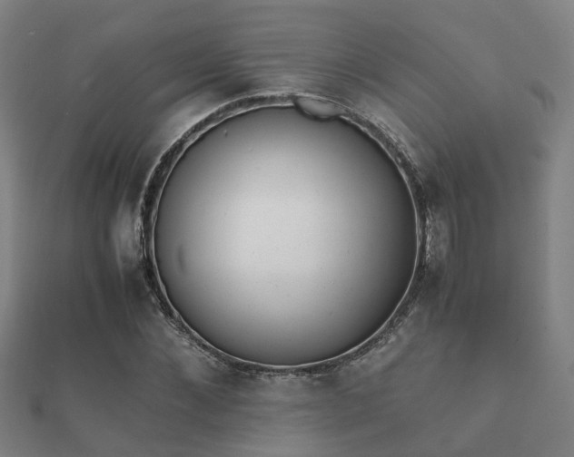 X0000112050876200908111347