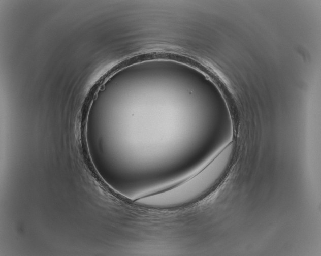 X0000112050877200908111347