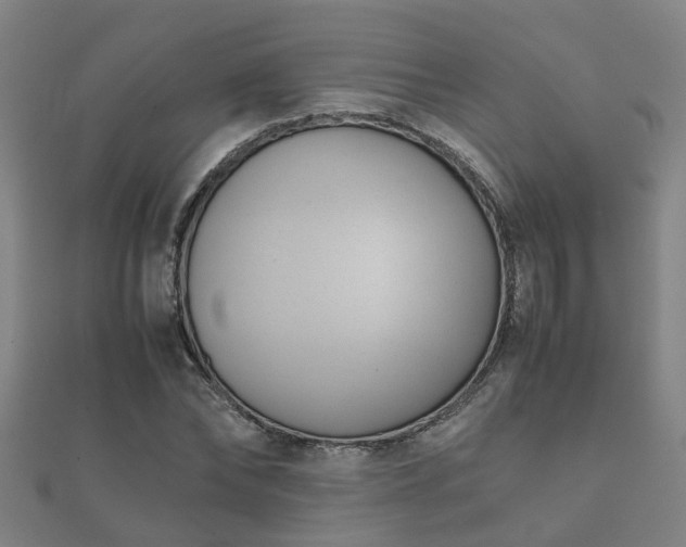 X0000112050878200908111347