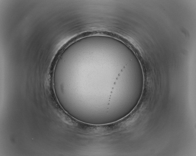 X0000112050879200908111347