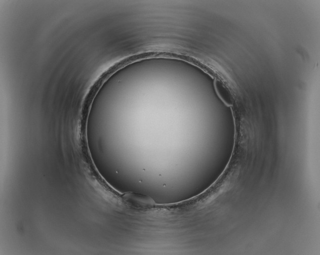 X0000112050880200908111347