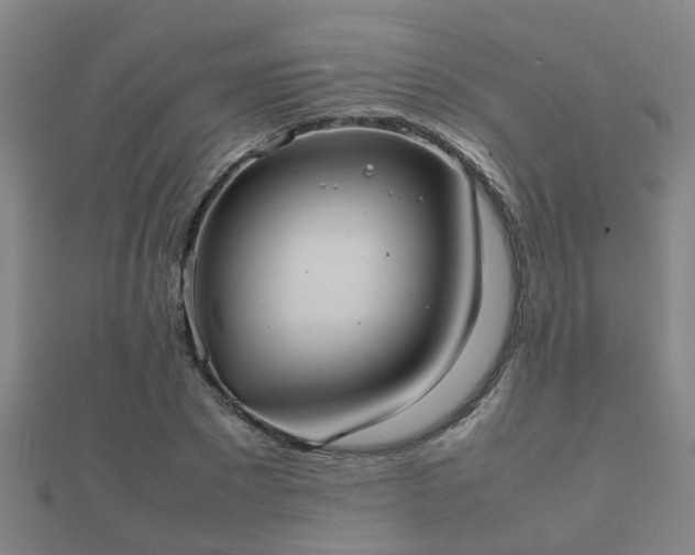 X0000112050881200908111347