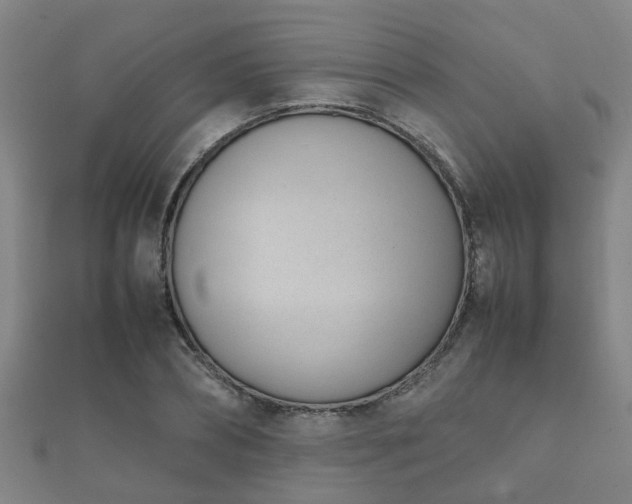 X0000112050882200908111347