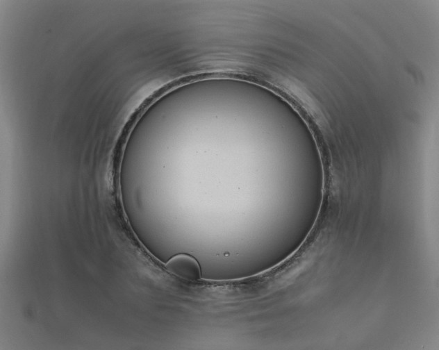 X0000112050883200908111347