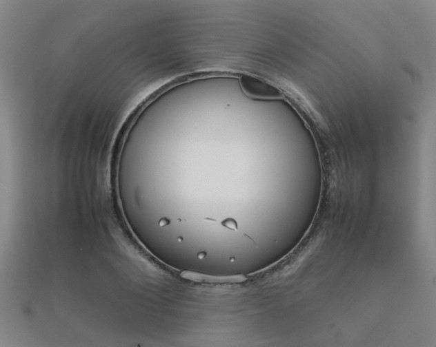 X0000112050884200908111347