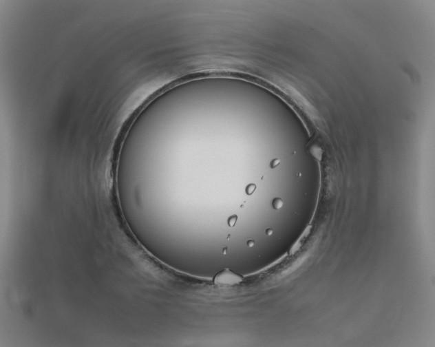 X0000112050885200908111347