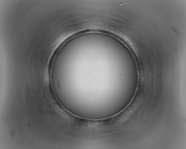 X0000112050887200908111347