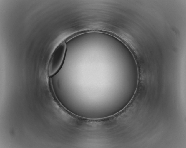 X0000112050888200908111347