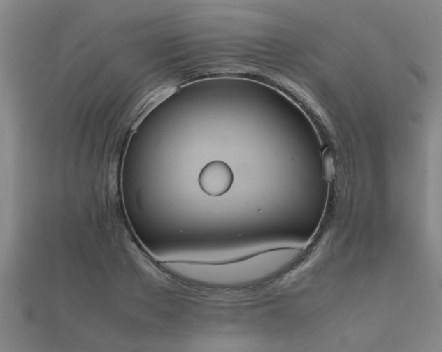 X0000112050889200908111347