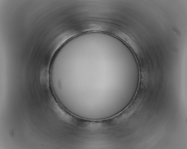 X0000112050890200908111347